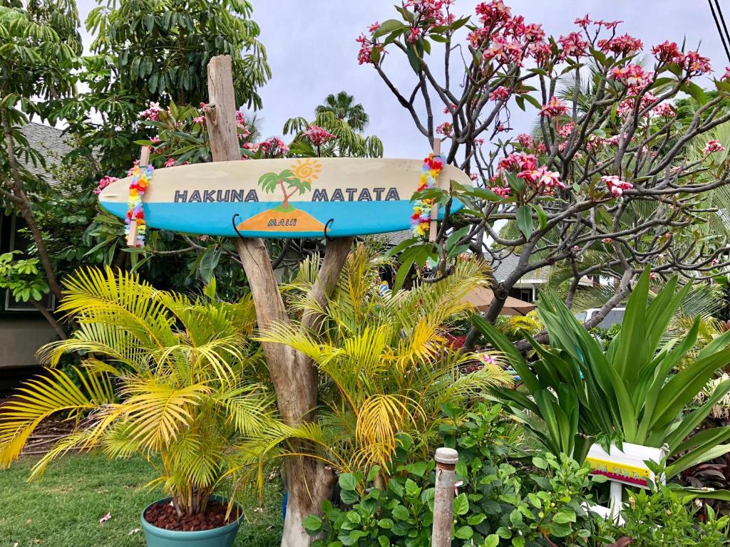 Hakuna Matata Maui Hostel Main image 1